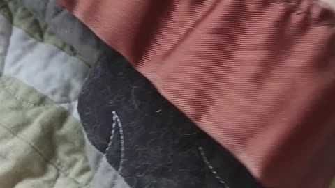 Duckling Tucked in for Bed