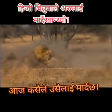 Everyone has own time