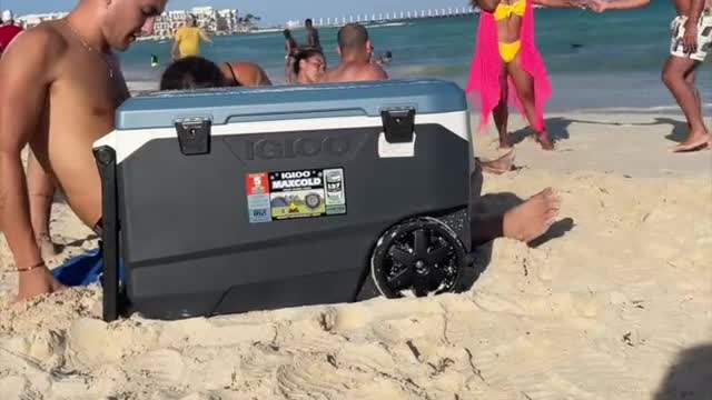 CAUGHT ON A PUBLIC BEACH!