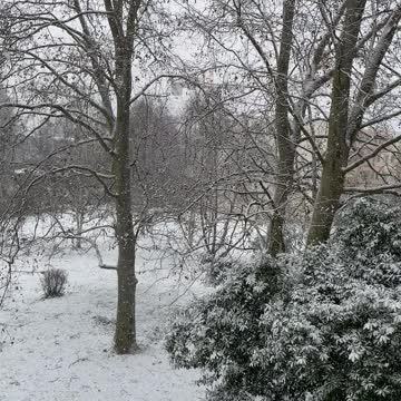 Snowing in Switzerland 2021