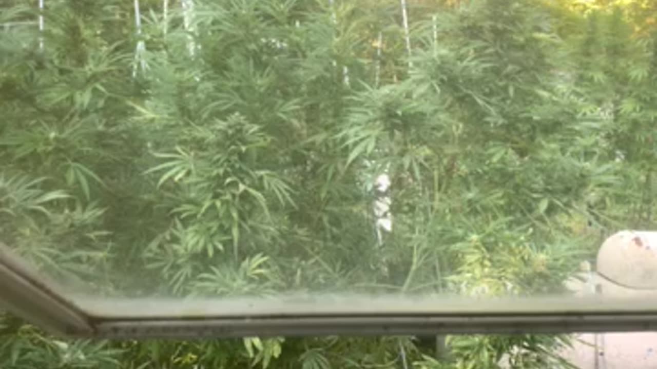 Left hand 🫲🏿 side anal retentive & head up ass green light assasins p 8 Derek Hunter rumble