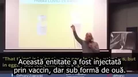 Incă un cercetător care a găsit Ceatura/Entitatea în fiolele de vaccin anti-covid