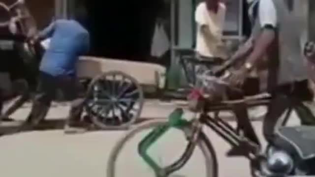 Funny videos