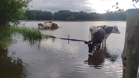 The rains came down as the floods came up