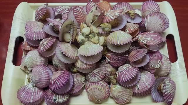 Delicious red scallop hong-galibi