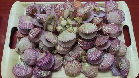 Delicious red scallop hong-galibi