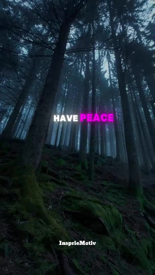 Development Comes from Peace