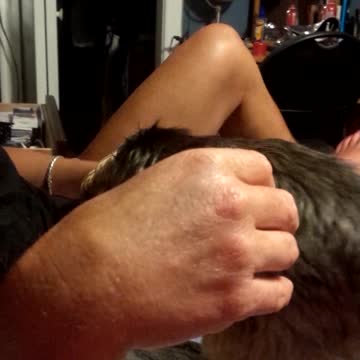 Yorkshire Terrier Steals Woman’s Potato Chips