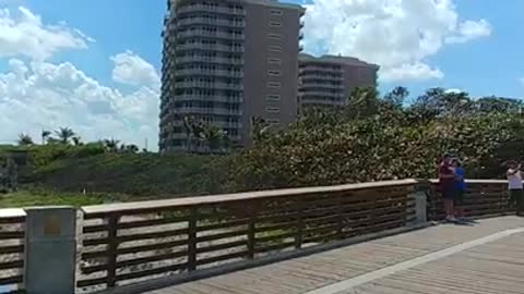 Juno beach fishing pier