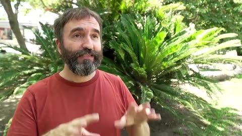 This lab in Spain is sterilizing mosquitoes to fight diseases | REUTERS | NE