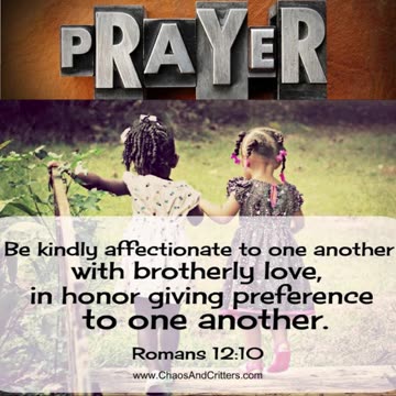 Morning Prayer of Honor #youtubeshorts #grace #jesus #mercy #faith #fyp #blessed #love #trust #joy