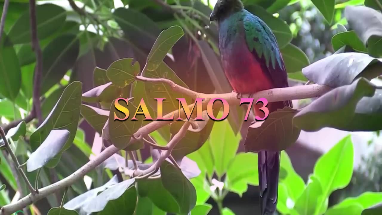 SALMOS 72, 73_ Reina Valera 1960