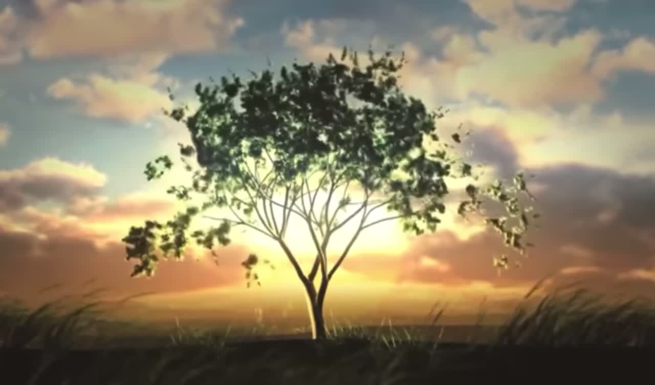 nature video