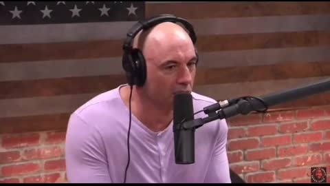 Joe Rogan : crazy stories from the Amazon