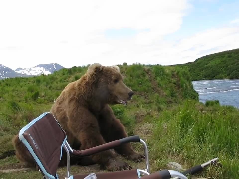 Bear sits next to guy.