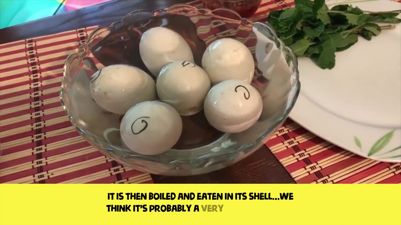 The Most UNUSUAL Foods People Actually EAT