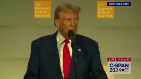 BREAKING: DJT officially announces he'll create a government efficiency commission led by Elon Musk