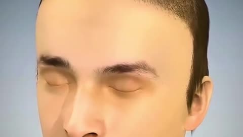 Hair Transplant Animation