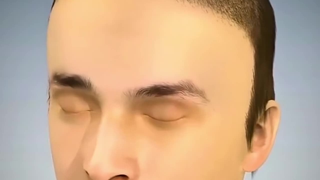 Hair Transplant Animation