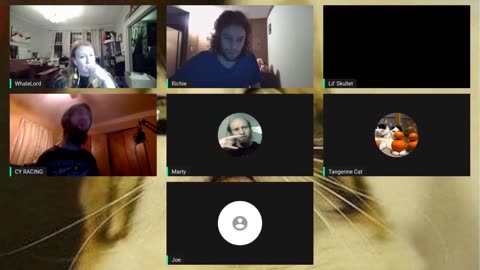 Cyrax on Courtneys Stream 2021-3-23 (Yells at Tangerine Cat)