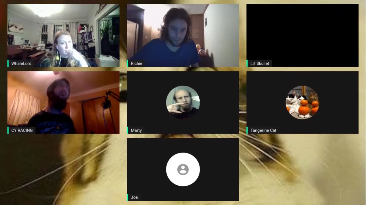 Cyrax on Courtneys Stream 2021-3-23 (Yells at Tangerine Cat)