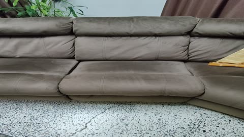 Repair of Sofa