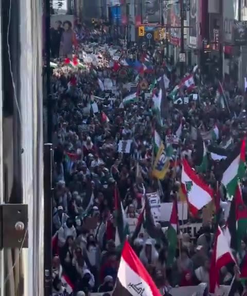 This is TORONTO. 🇨🇦 (10/5/24)