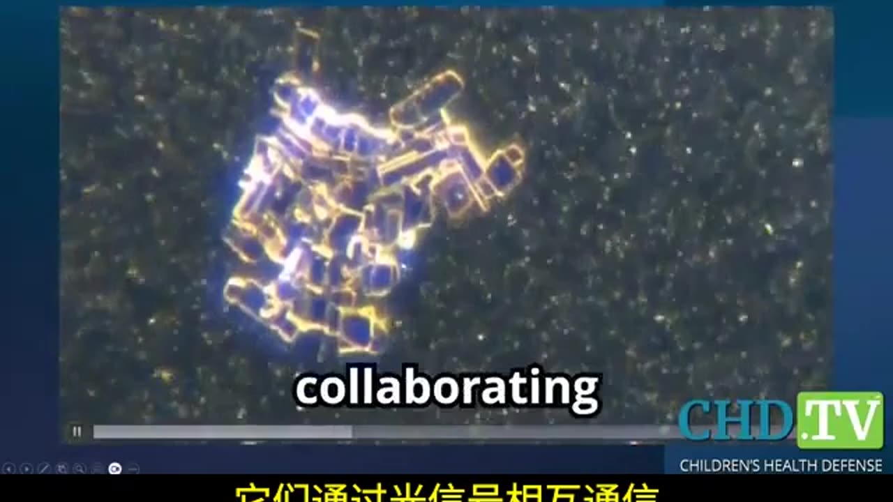 瑪麗霍蘭德的完整訪談