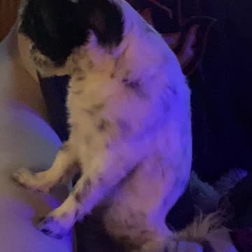 What is she doing? Lol