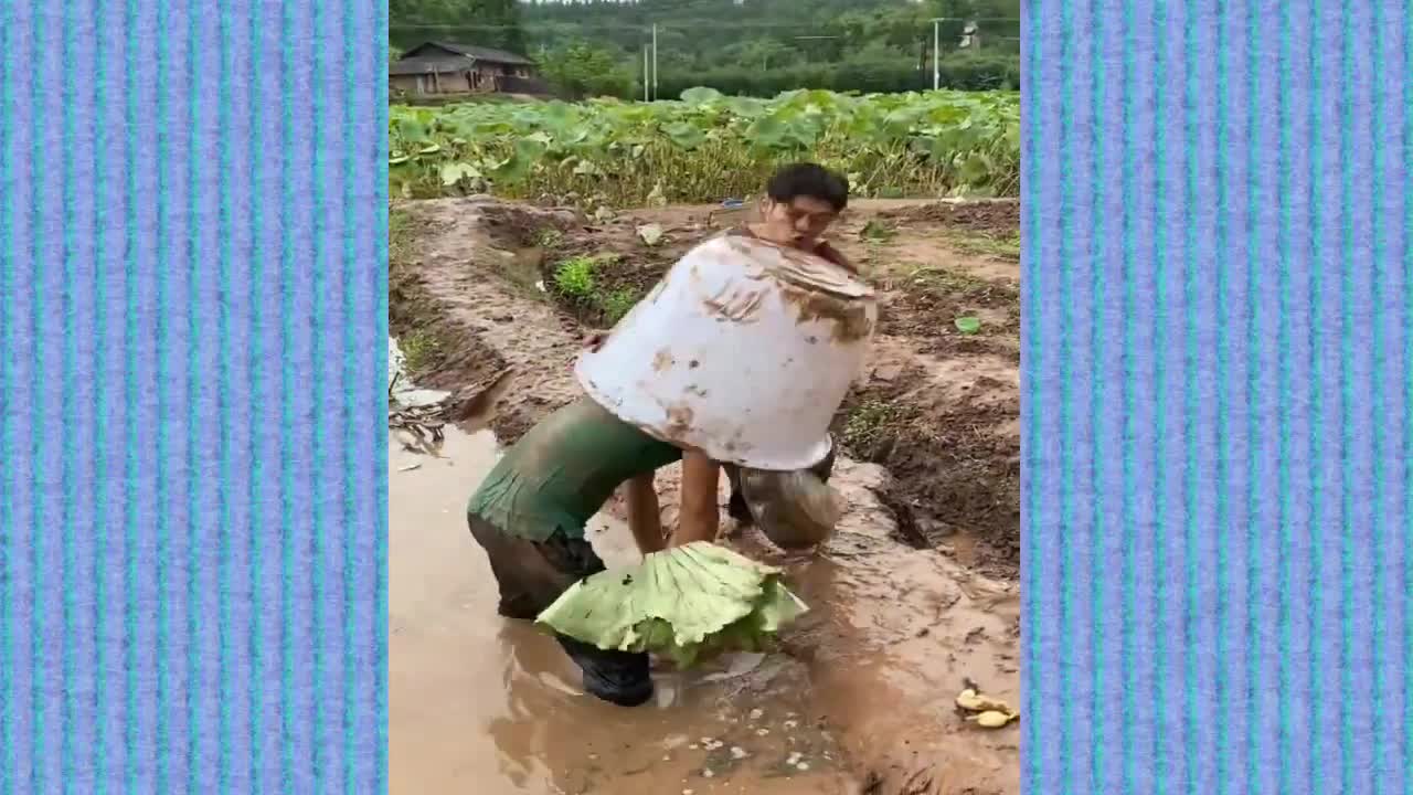 Funny video compilation😂😂