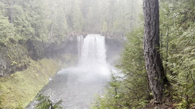 ENJOY the Peace & Quiet of Koosah Falls – McKenzie River – Central Oregon – 4K