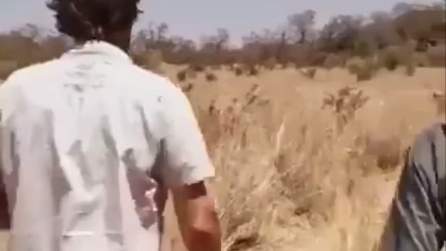 We are going to kill ourselves because of stupidity