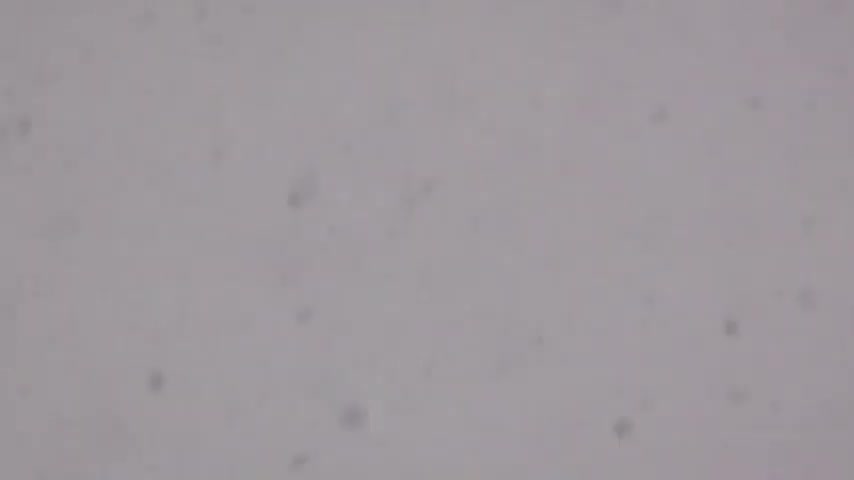 Snowdrone