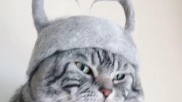 A heart-shaped hat