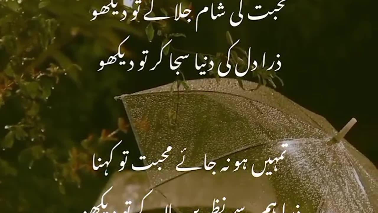 Short poetry video