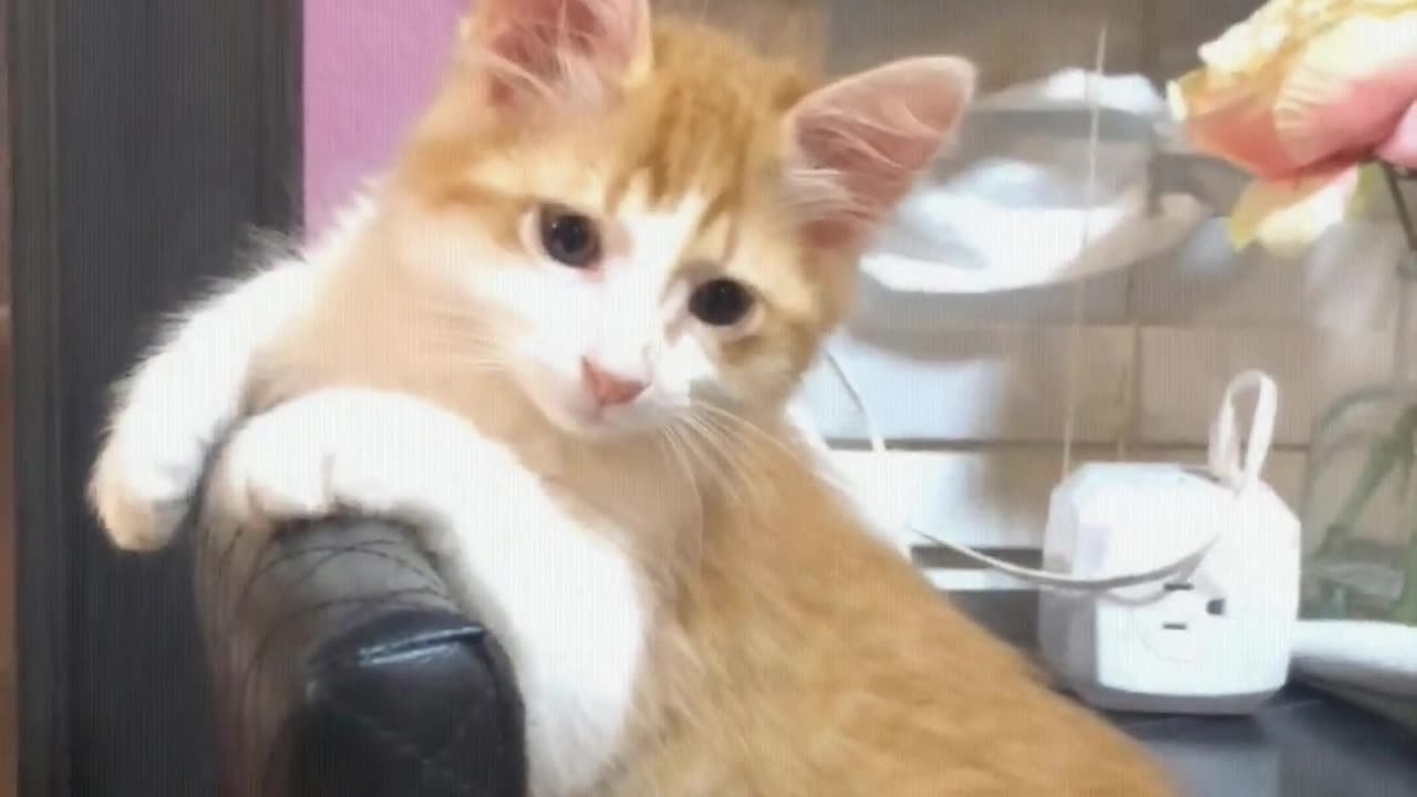 Who taught you to sit like this?
