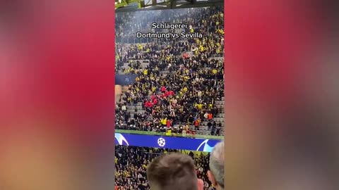 FIGHT between DORTMUND and SEVILLA Fans