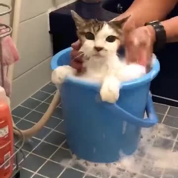 Stay Put-Rememberrr da fooodd!