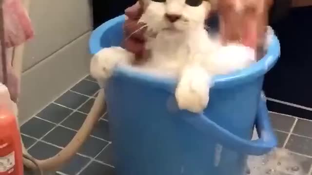 Stay Put-Rememberrr da fooodd!