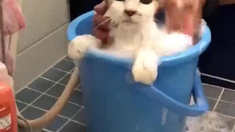 Stay Put-Rememberrr da fooodd!