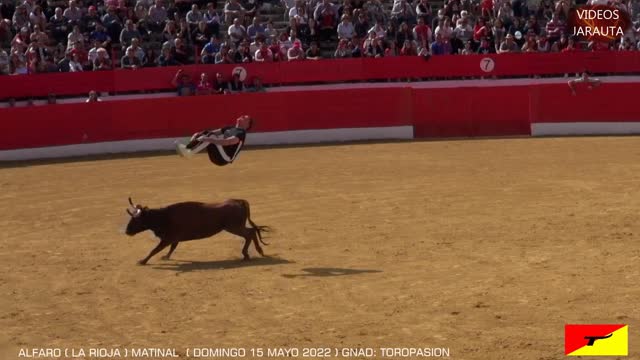 RECORTADORES POR EL AIRE