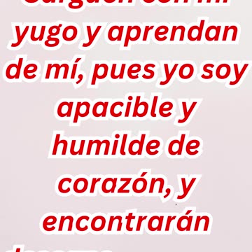 "Llevar Mi Yugo y Encontrar Descanso" Mateo 11:29.#shorts #short #youtubeshorts #ytshorts #youtube