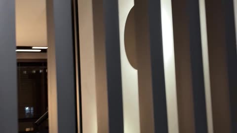 Interior trend: black wooden slats Black panels