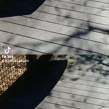 On the Bridge Logoly state park