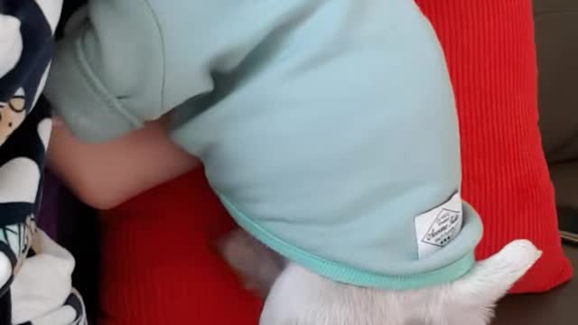 What is the baby doing now??ㅋㅋㅋ