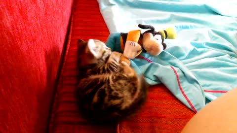 jugando con su muñeco