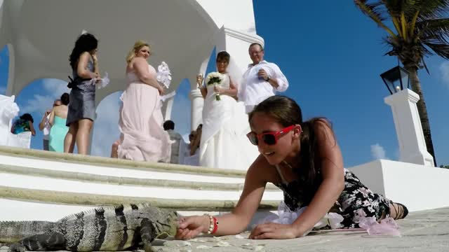 Dama de honor alimenta con la mano a una enorme iguana