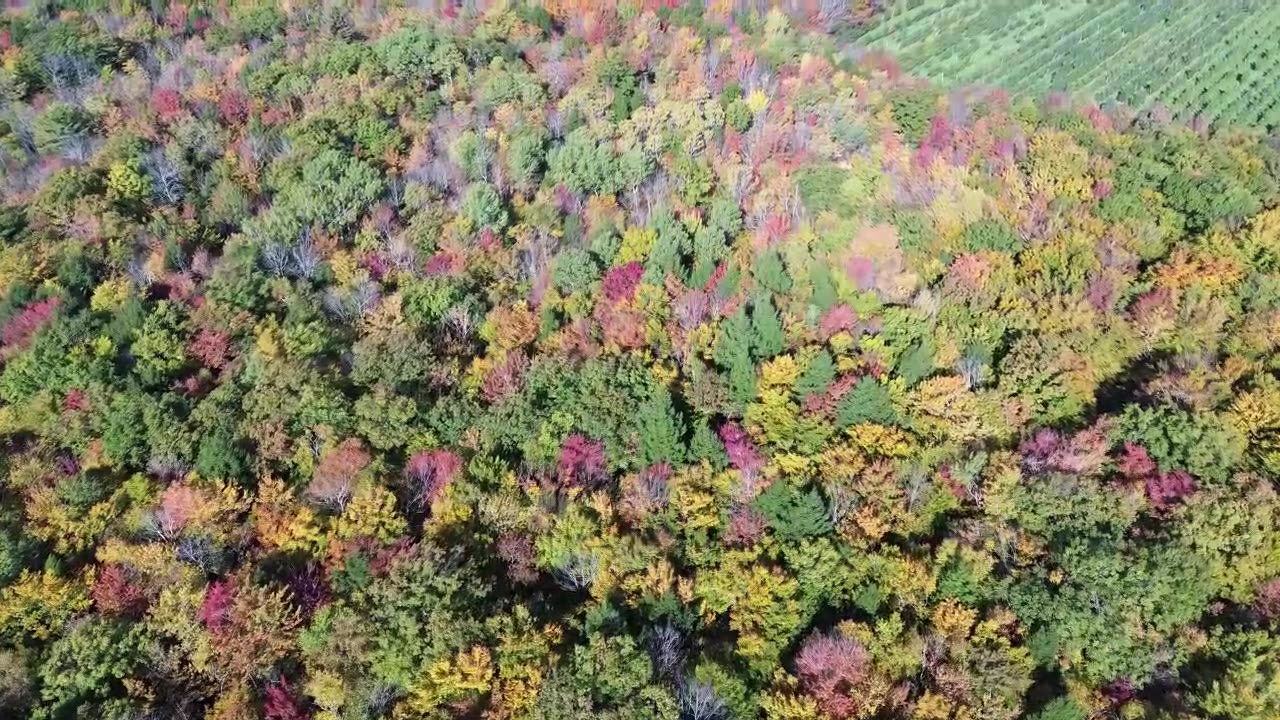 Minot, Maine leaf peeping drone Oct 24