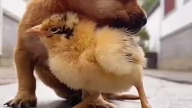 Nature Love ( Every human should love each other)