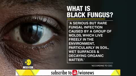 Gravitas: What is Black Fungus or Mucormycosis?